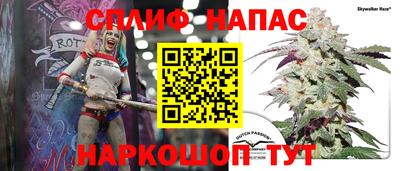 мяу мяу мука Будённовск