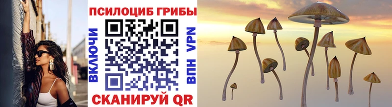 omg зеркало  Домодедово  Псилоцибиновые грибы Psilocybine cubensis  наркота 