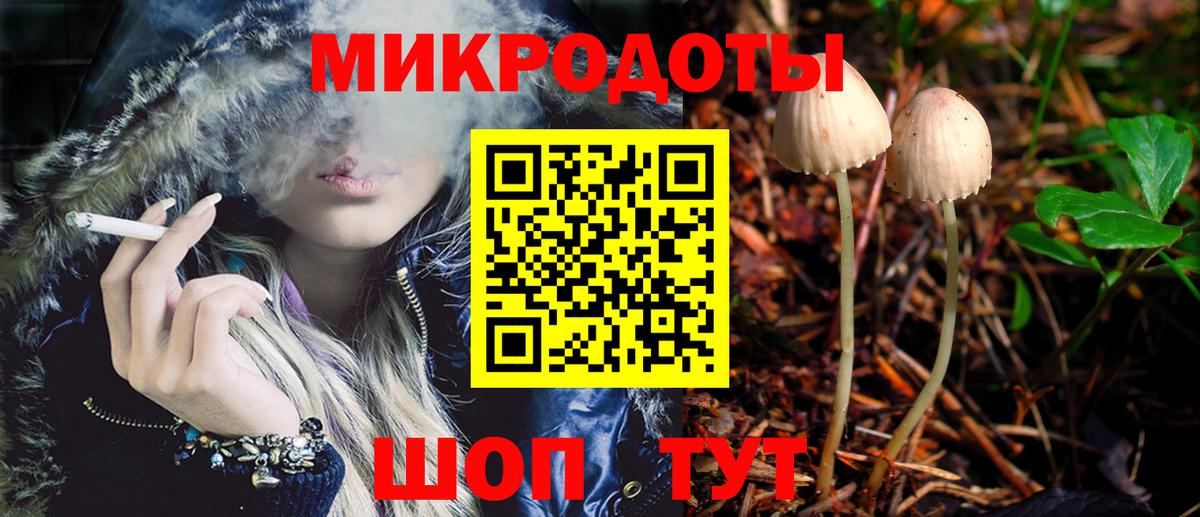 Псилоцибиновые грибы Psilocybine cubensis Домодедово