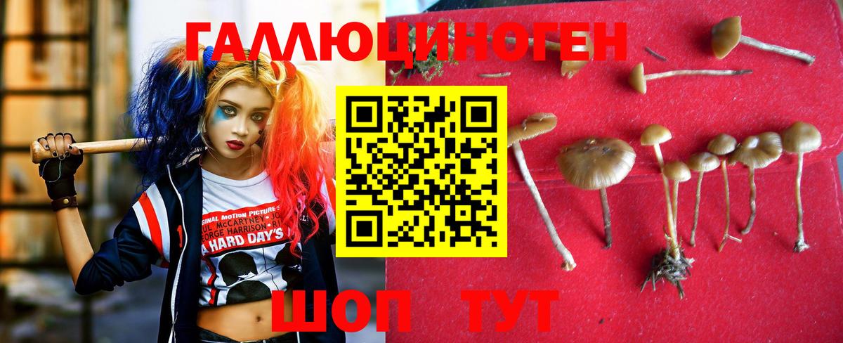 Псилоцибиновые грибы мухоморы  Домодедово 