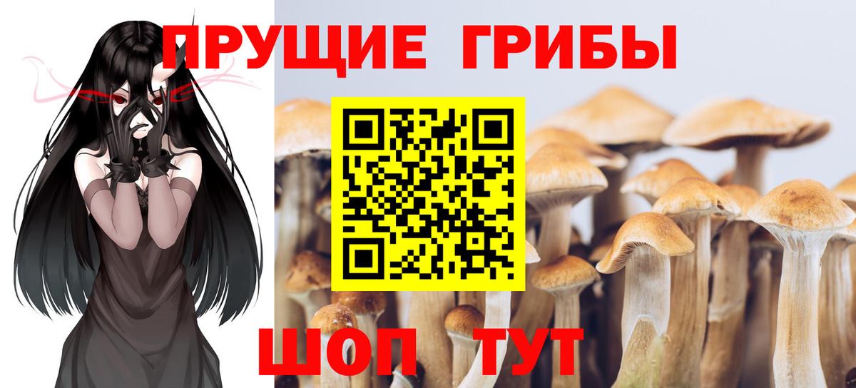Галлюциногенные грибы мицелий Домодедово