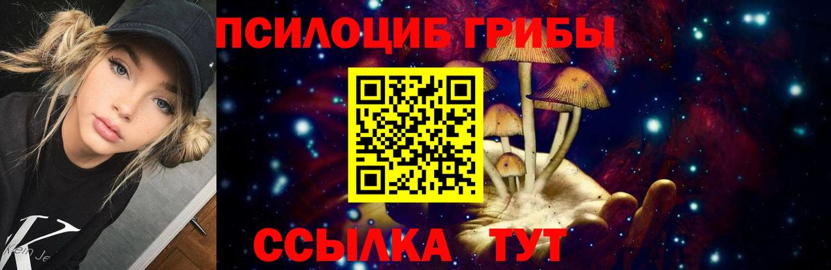Псилоцибиновые грибы GOLDEN TEACHER  Вход с VPN  Домодедово 